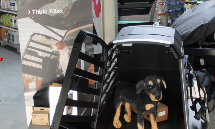 Ansicht einer THULE Hundebox.